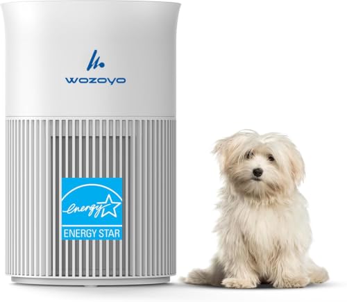 Pure Air PA1 Wozoyo Air Purifier For Bedroom Home, Office, Desktop, AHAM VERIFIDE, Covers Up To 300 ft², 3-in-1 HEPA Filter Cleaner With Aroma Pad