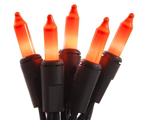 Holiday Pride 100 Count Orange Halloween Mini Lights with Black Wire (24 Ft) - Indoor/Outdoor Use - UL Listed - Static & Blinking Modes - Connectable