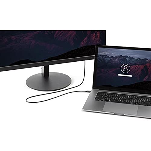 StarTech.com 6ft/1.8m USB C to DisplayPort 1.2 Cable 4K 60Hz - USB-C to DP Adapter HBR2 - USB Type-C DP Alt Mode to DP Monitor Video Cable