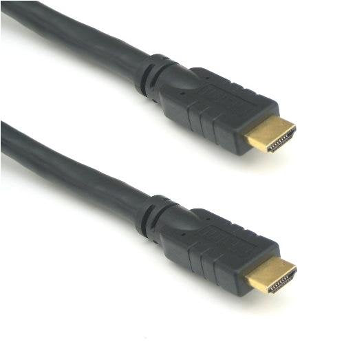 RiteAV - Premium - HDMI 1.3 Cable 1080p - 100 ft