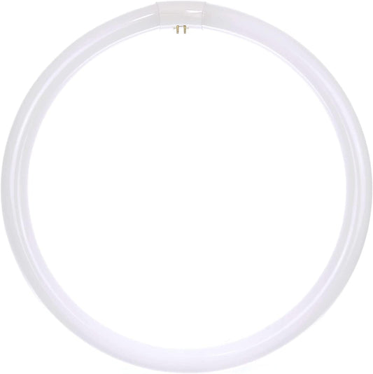 BULBMASTER FC16T9/CW 40 Watts 16 Inch Round Fluorescent T9 Circular Light Bulb, 4 pin Light Bulb Cool White 4100K, FC16T9 2600 Lumens G10Q 4-Pin Base