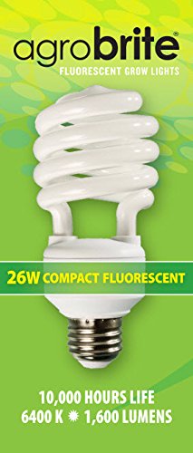 Agrobrite FLC26D 26-Watt Spiral Compact Fluorescent Grow Light Bulb (130W equivalent CFL), 6400K