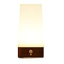 ZEEFO Motion Sensor LED Night Light 3 Modes Battery Powered LED Table Lamp,Sensitive Lights Stairway Bedroom/Bathroom Hallway Emergency Camping Lamp
