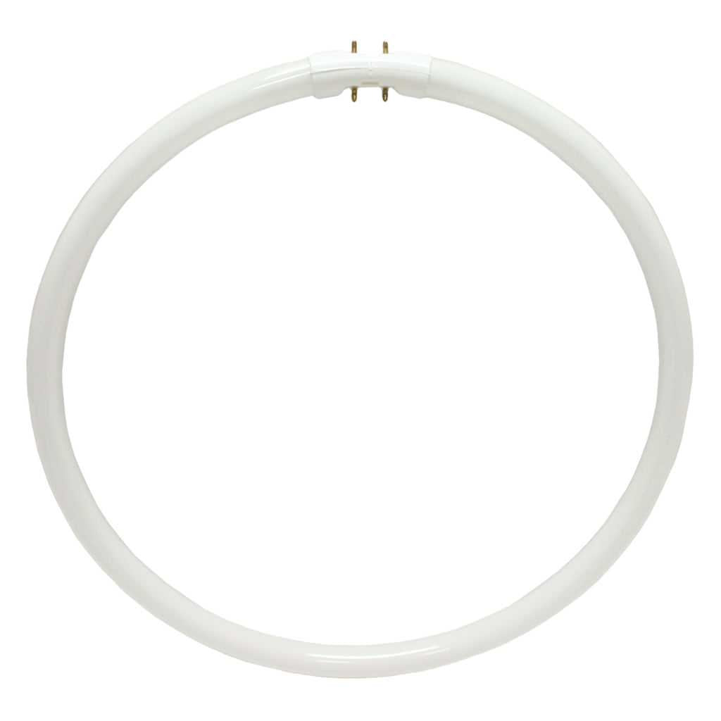 Sylvania Fluorescent 4W T5 Circline Lamp, 3000K Neutral White, 1 Pack