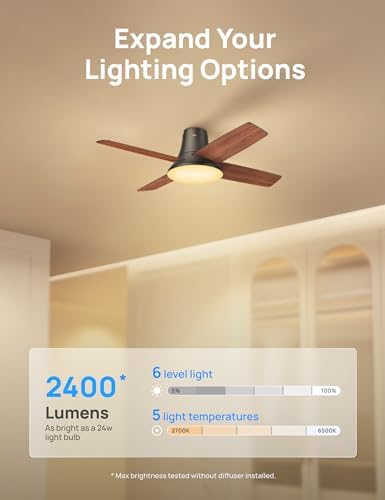 DREO Ceiling Fan, 44 Inch Low Profile Ceiling Fan with Light and Remote, 5CCT LED, 6-Level Dimmable, 6-Speed, Reversible Motor, 22 dB, Timer