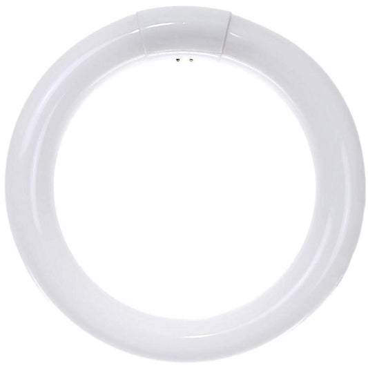 Sunlite 05027 - FC8T9/CW Circular T9 Fluorescent Tube Light Bulb