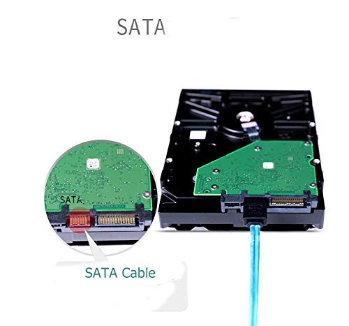 CableDeconn High Speed 6Gbps Sata 6 SATA Cable SAS Cable for Server 6 Pieces (1m)