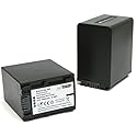 Wasabi Power Battery for Sony NP-FV100 (3900mAh, 2-Pack)