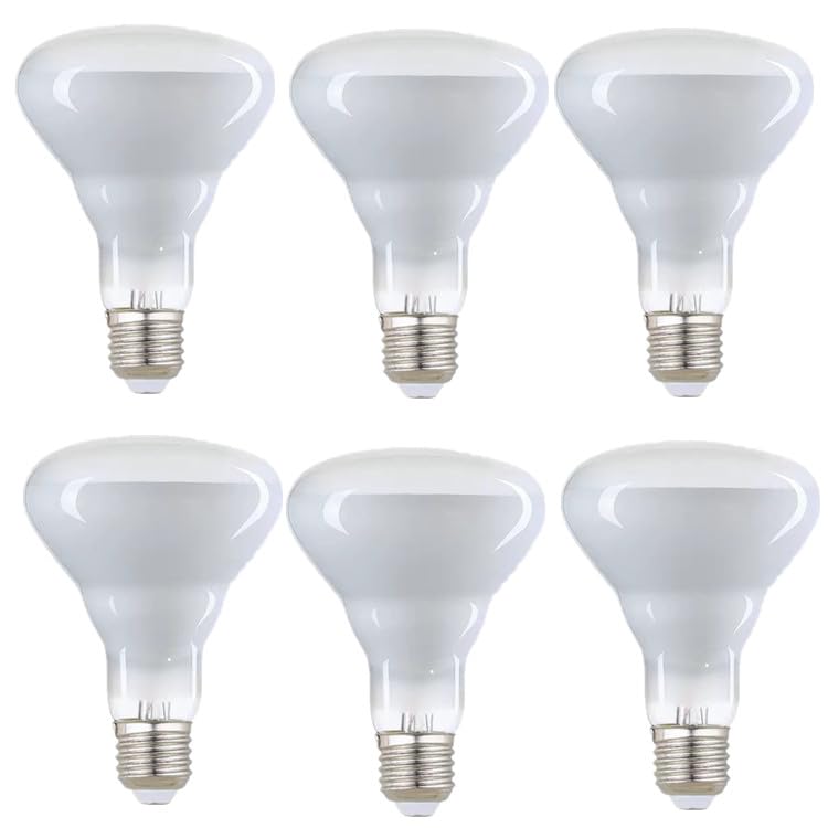 FMLAD BR30 65W Flood Incandescent Light Bulbs E26 Base - 6 Pack