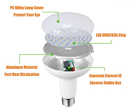 Beriteluce Dimmable LED Flood Light Bulb BR16 R16 5W 50W Equivalent, 500 Lumen, 3000K Warm White, Candelabra Base E12, LED Mushroom Light Bulb, 4-Pack