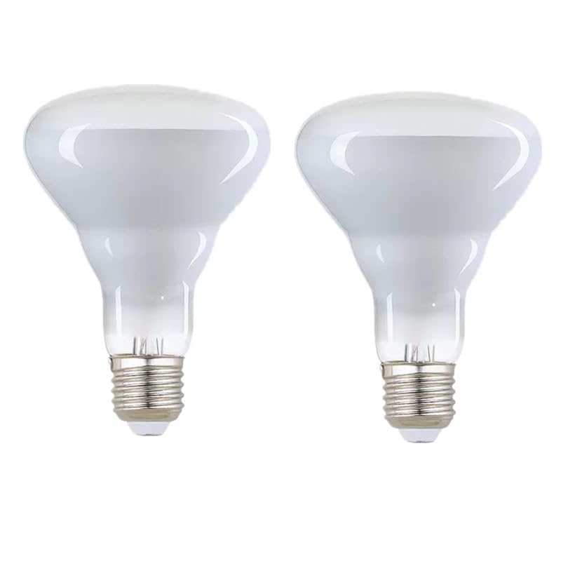 FMLAD BR30 65W Flood Incandescent Light Bulbs E26 Base (2-Pack)