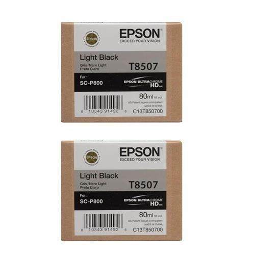 Epson 2x T850 Light Black Inkjet UltraChrome HD Ink Cartridge for SureColor P800 Printer, 80ml Capacity