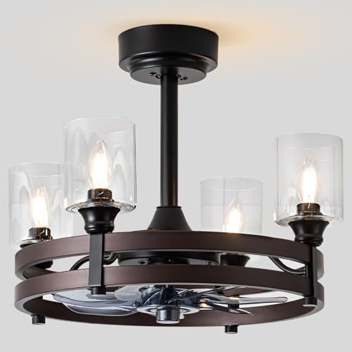 zsvicka 21" Caged Ceiling Fan with Light,Dining Room Fandelier,Black/Bronze