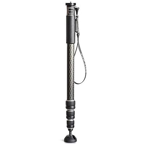 Gitzo GM2542 Traveler Professional Photography Monopod, Series 2, 4 Sections, for DSLR and Reflex Camcorders, Video Cameras, for Photographers