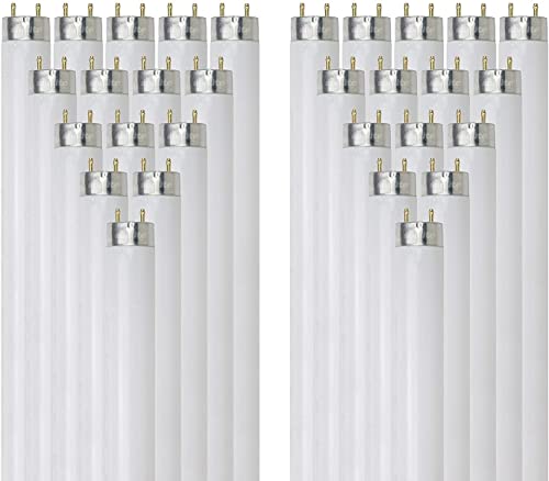 Sunlite 30128 F17T8/SP865/30PK T8 High Performance Medium Bi-Pin (G13) Base Straight Tube Bulb (30 Pack), 17W/6500K, Daylight