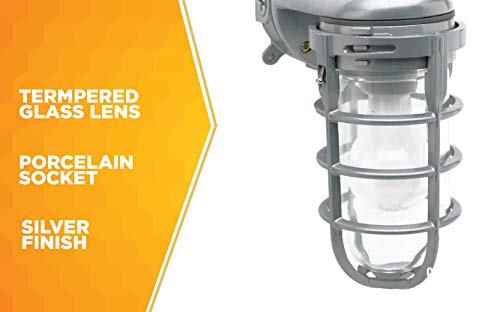 Woods L1707SV Traditional 150W Incandescent Weather Industrial Light, Wall Mount, Silver,Large