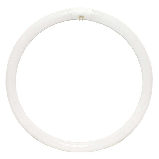 ProLume FC16T9CW 37510 40W Fc16 T9 16" Circline Cool White Fluorescent Tube Light Bulb