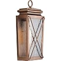 Progress Lighting P560262-169 Transitional One Light Wall Lantern from Wakeford Collection in Copper Finish,