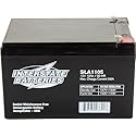 Interstate Batteries 12V 12Ah Battery (F1 Terminal) SLA AGM VRLA Rechargeable Replacement for APC, UPS Backup Systems, Emergency Lighting, Medical…