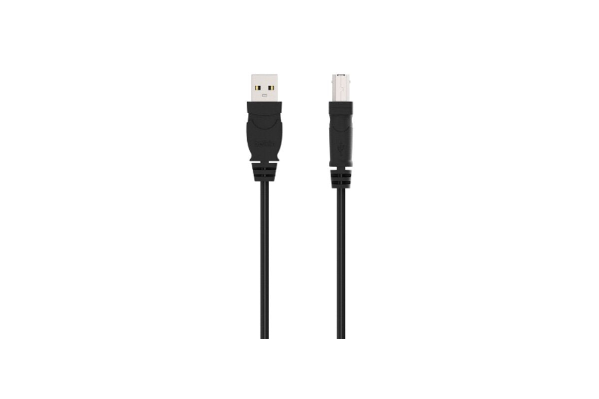 Belkin F3U133b06 6ft USB 2.0 Ab Device USBa/usbb Bag & Label