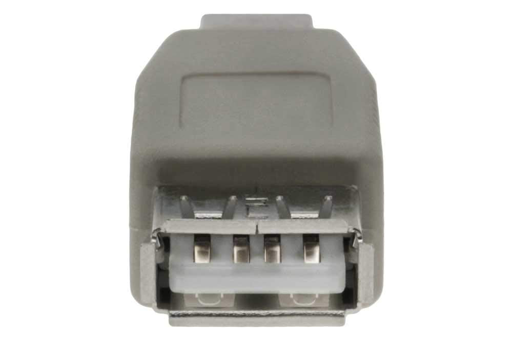 USB A Female to B Male Adapter - Beige