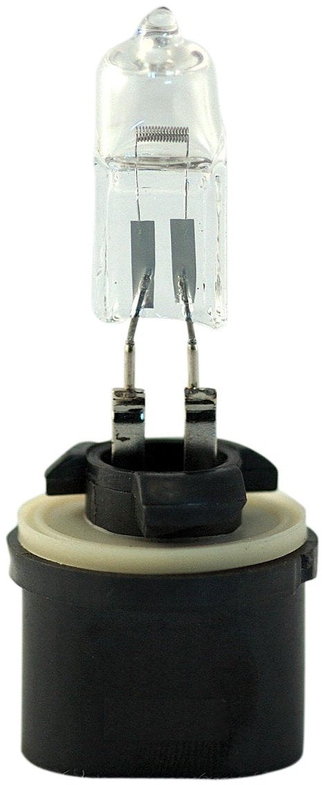 Eiko 890-BP 800 Series Halogen Lamp (Pack of 1)