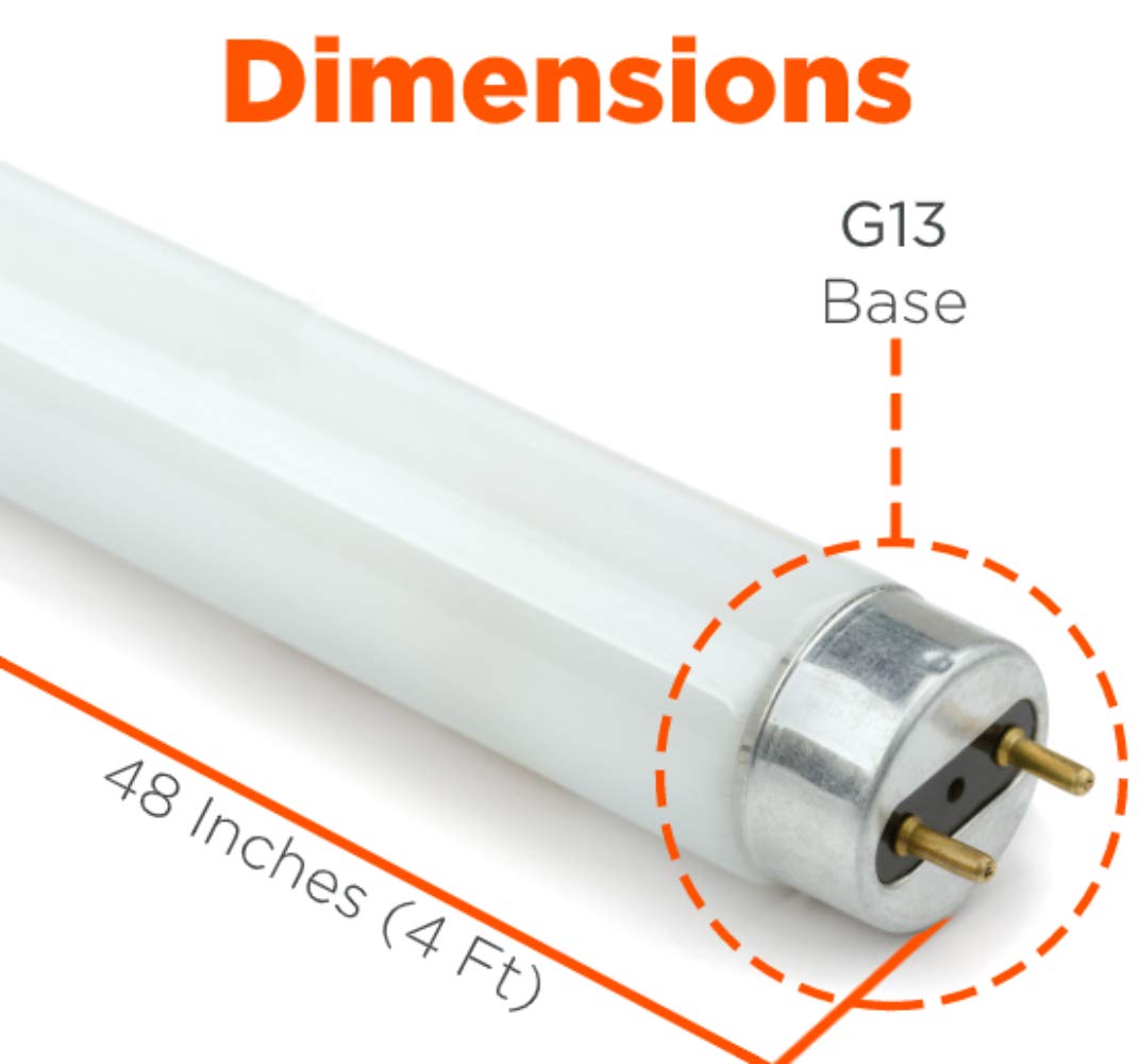 GoodBulb 32W 48 Inch T8 Fluorescent Light Bulb 5000K Daylight Medium Bi-Pin Base 2900 lumens 24000 Life Hours Instant/Programmed Start (Pack of 25