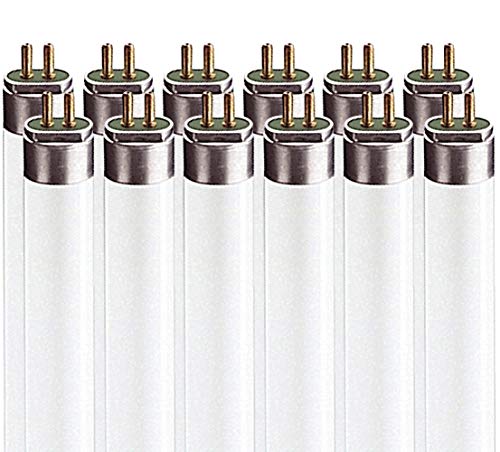 LUXRITE LR20765 (12-Pack) 54-Watt 4 FT T5 High Output Fluorescent Tube Light Bulb, Daylight 6500K, 4200 Lumens, G5 Mini Bi-Pin Base