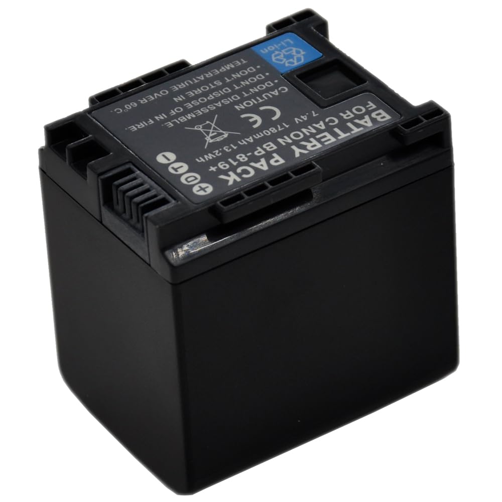 BTBAI Compatible bp-819 Battery for bp-809 bp-827 Digital Camera Video Camcorder (2X Battery)