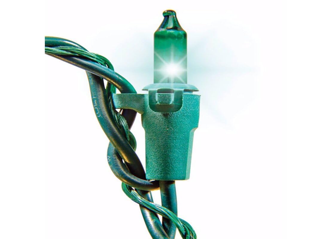 Celebration 150 Indoor/Outdoor Net-Style Lights, Multi-Color