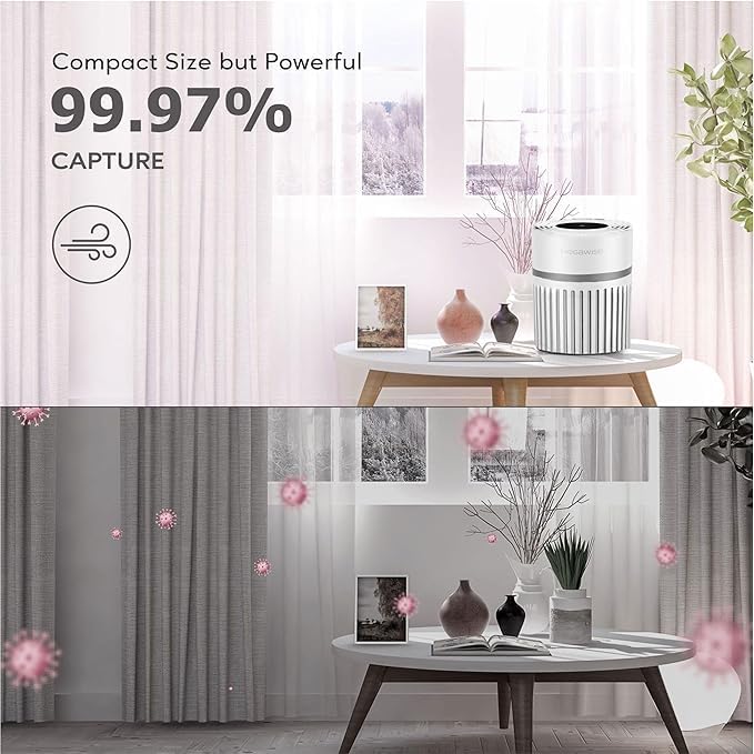 MEGAWISE EP1810 Air Purifier with Genuine HEPA Filter, Covers up to 215 sq ft, Designed for Dust, Pet Dander, and Odors