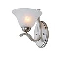 Trans Globe Lighting 2825 BN Indoor Hollyslope 7.5" Wall Sconce, Brushed nickel