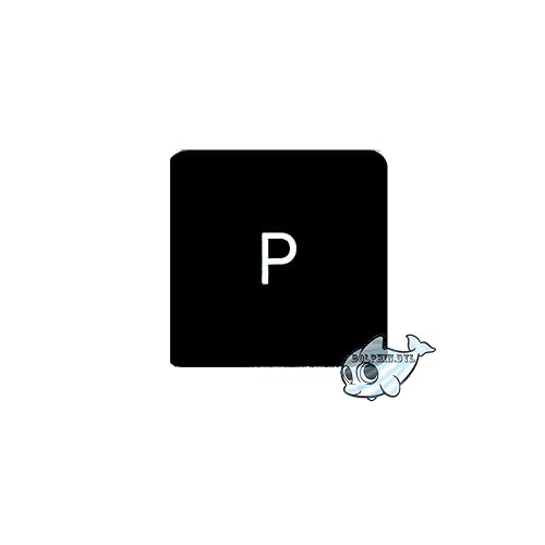 Dolphin.dyl(TM) Replacement Individual Key Cap for US MacBook Pro A1706 A1707 A1708 Key Keyboard(Key Cap Only) (P)