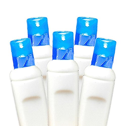 Novelty Lights Battery Operated LED Mini Lights 8 Feet, 20 Count Blue Fairy Lights on White Wire, On/Off & Flashing Modes, Indoor/Outdoor Use, 3X AA