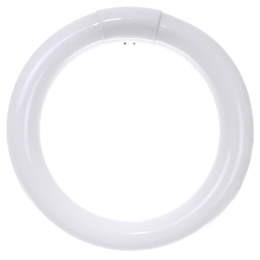 Sunlite 41316 FC8T9/CW 8-Inch T9 Round Fluorescent Circline Lamp, 22 Watts, 1250 Lumens, 4100K Cool White, G10Q 4-Pin Base, 1 Pack