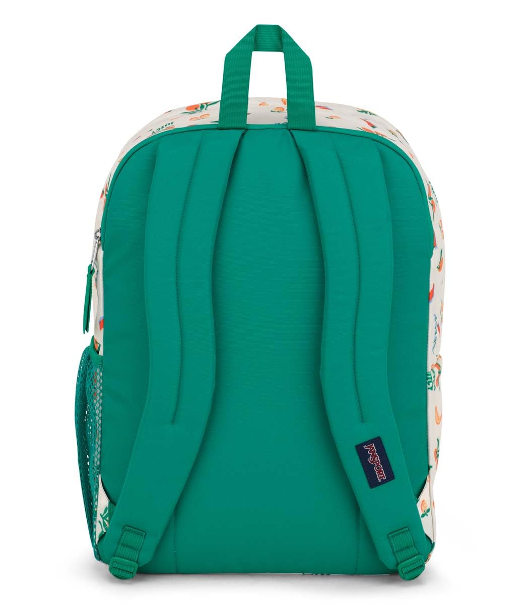 JanSport Laptop Backpack - Computer Bag with 2 Compartments, Ergonomic Shoulder Straps, 15” Laptop Sleeve, Haul Handle - Five A Day Cream