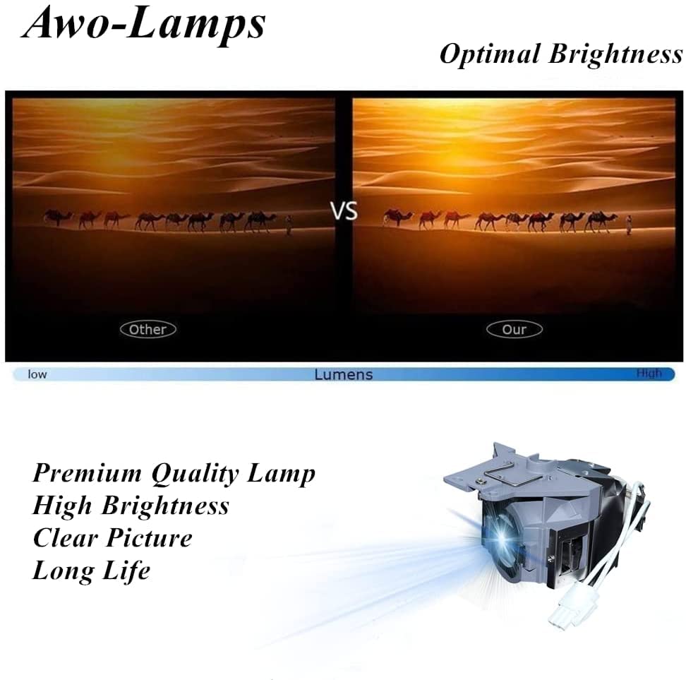 AWO Original P-VIP240W Lamp Bulb for RLC-101 / RLC-104 / RLC-105 with Housing for VIEWSONIC Pro7827HD,PJD7836HDL,PJD7526W,PJD7326,PJD7820HD Projectors