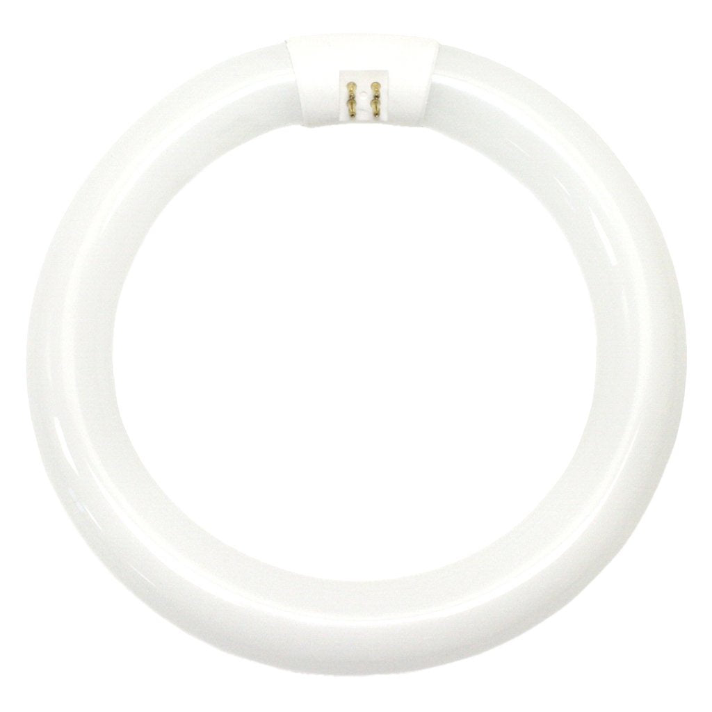 Sylvania 20088 - FC8T9/WW/RS Circular T9 Fluorescent Tube Light Bulb