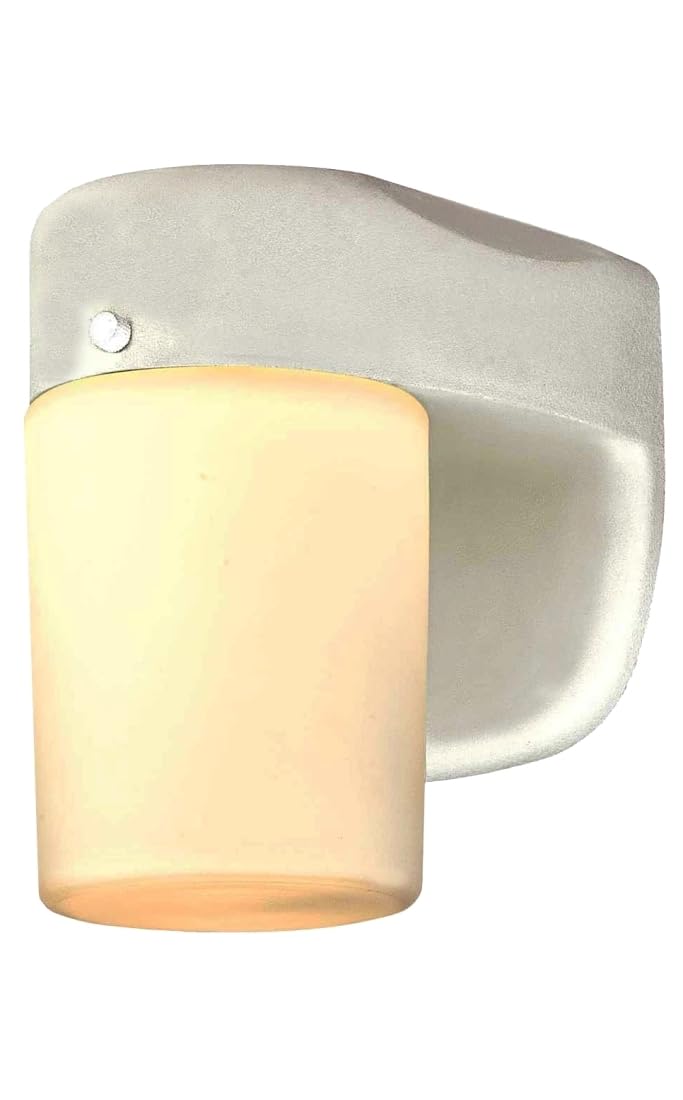 6106800 One-Light Dimmable LED Outdoor Wall Fixture with Dusk to Dawn Sensor, White Finish with Frosted Opal Glass