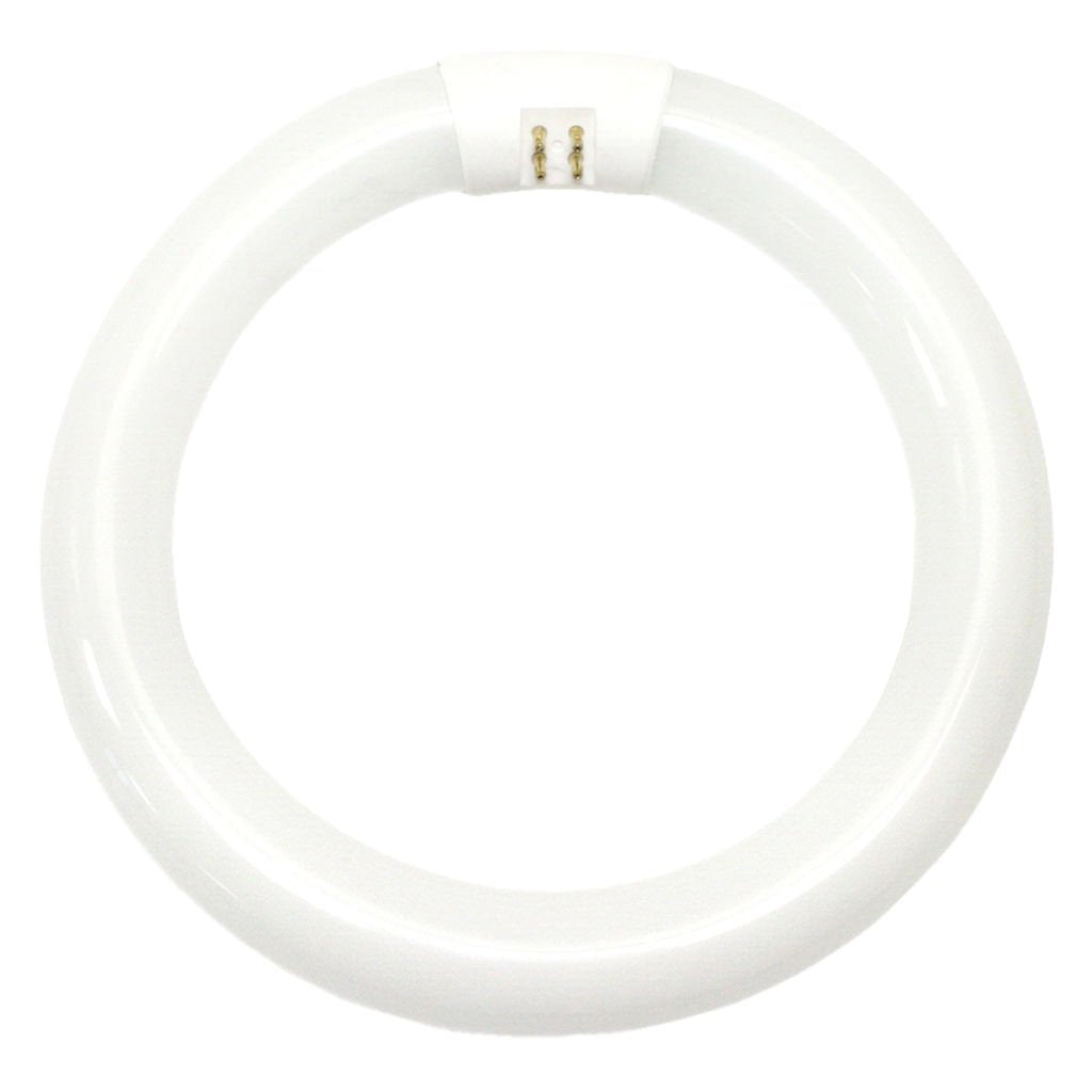 OSRAM SYLVANIA GIDDS-683053 Cool White Fluorescent Circline