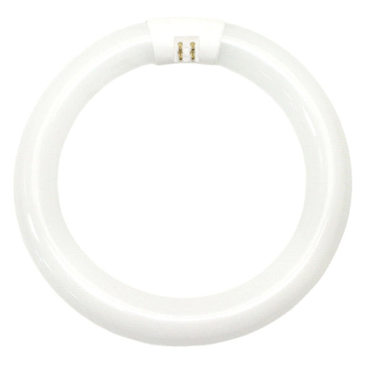 OSRAM SYLVANIA GIDDS-683053 Cool White Fluorescent Circline