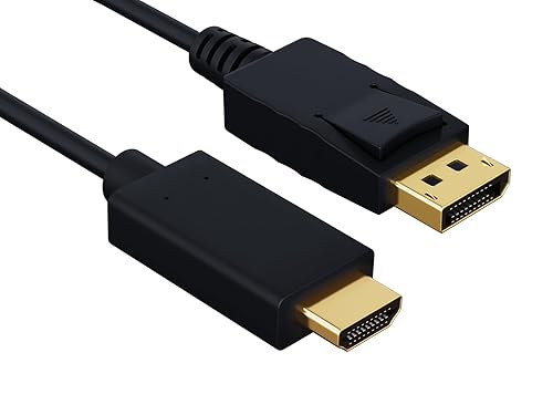Cable Leader Gold Plated Premium DisplayPort to HDMI Male to Male Cable (10 Feet)