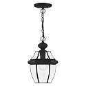 Livex Lighting 2152-04 Monterey 1-Light Outdoor Hanging Lantern, Black