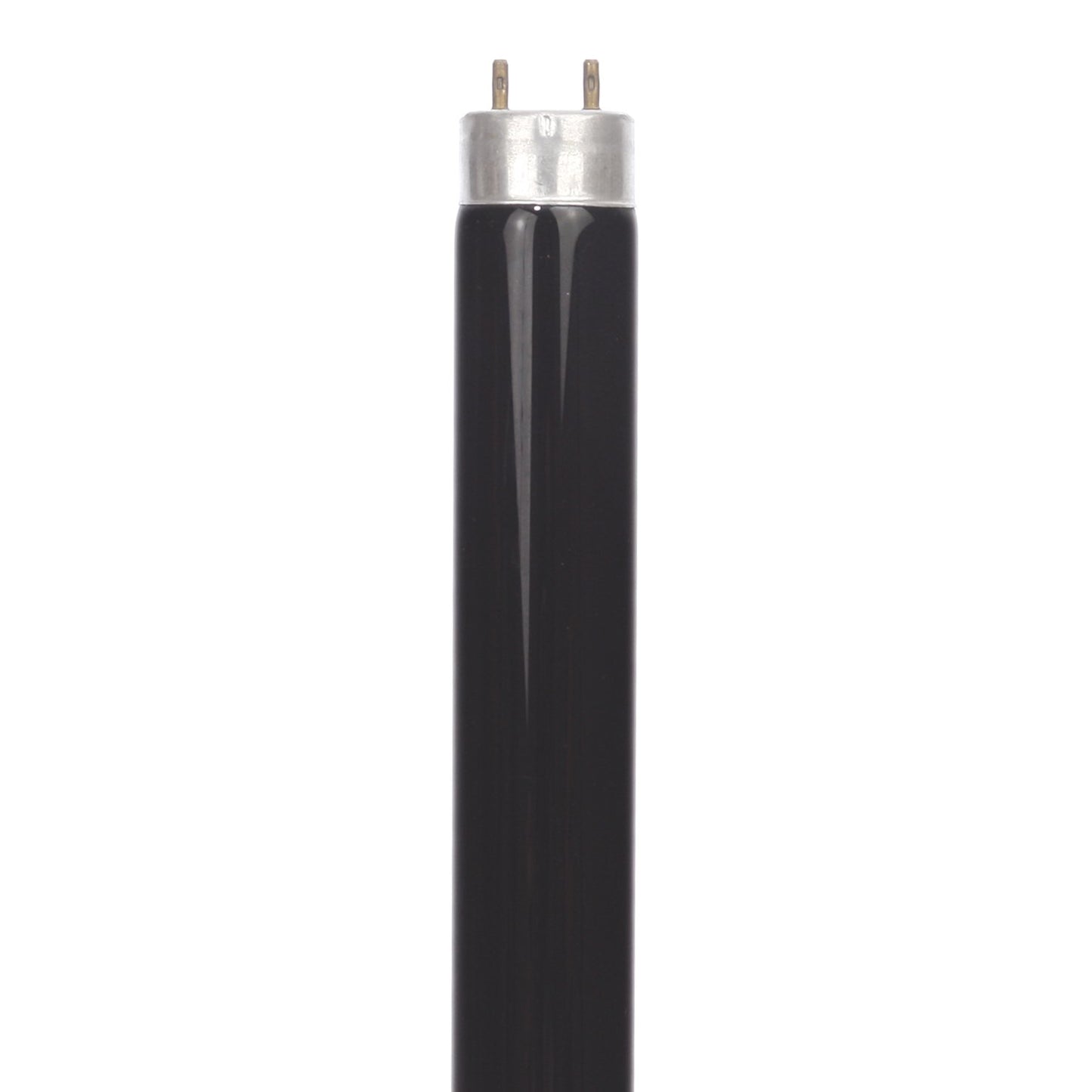 Sunlite F10T8/BLB 10-Watt T8 Linear Fluorescent Light Bulb Medium Bi Pin Base, Black Light Blue, 30-Pack
