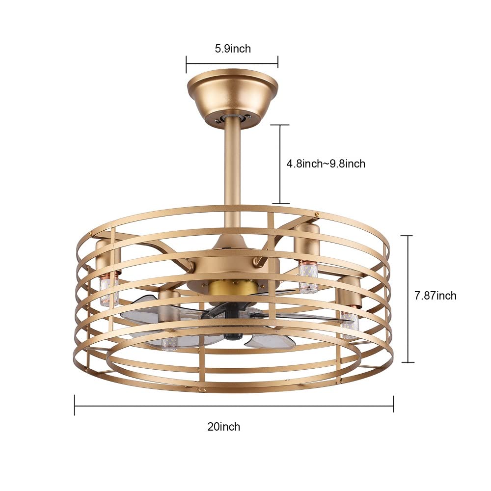 NOLANTISI 20 Inch Caged Ceiling Fan with 3 Speeds Adjustable Light Remote Control, Gold Modern Ceiling Fan Light with 5 Enclosed Blades, Quiet Ceiling