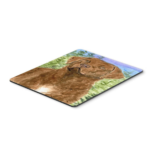 Caroline's Treasures SS8933MP Chesapeake Bay Retriever Mouse Pad, Hot Pad or Trivet for Home Office Gaming Working Computers Laptop Mouse Mat,Washable
