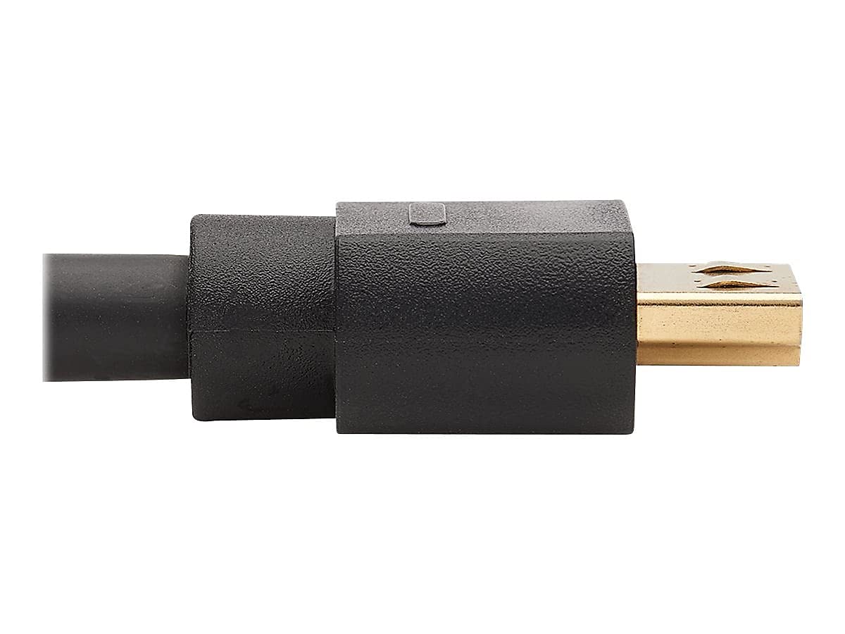 Tripp Lite DisplayPort to HDMI Adapter Active DP 1.2A to HDMI 2.0 M/15ft (P582-015-4K6AE)