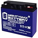 Mighty Max Battery ML22-12 GEL - 12 Volt 22 AH, GEL Type, Internal Thread (INT) Terminal, Rechargeable SLA AGM Battery