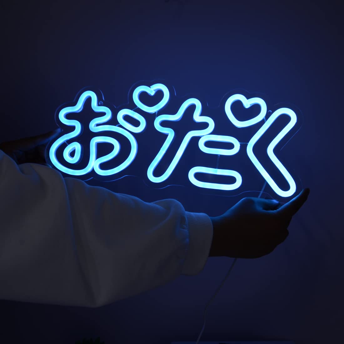Britrio Otaku ??????Japanese Anime Gaming Neon Light Sign for Man Cave Teen Boys Kid Bedroom Game Room LED Wall Art Sign Decor Christmas Birthday