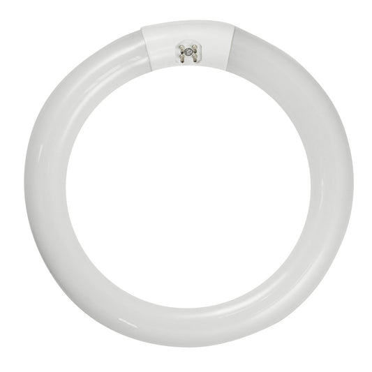 Norman Lamps FC8T9-CW - 22W, 1,115 Lumens, 1.13 in. Tube Diameter